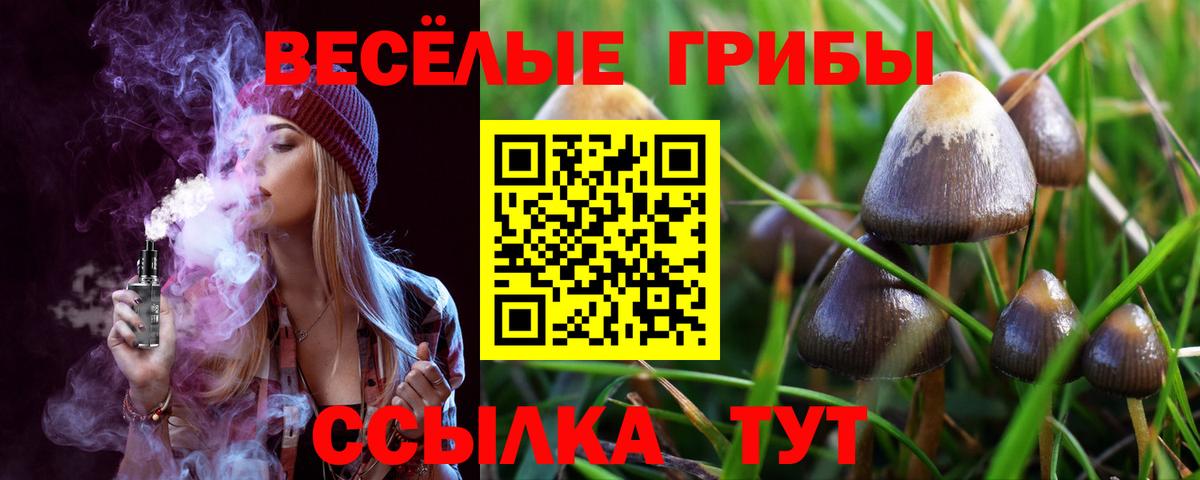 купить наркотики сайты  Вход с VPN  Слободской  Псилоцибиновые грибы Magic Shrooms  Псилоцибиновые грибы Psilocybe 